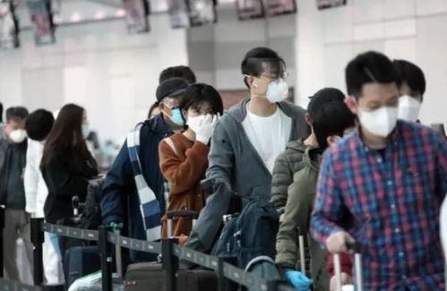 韩国留学生网红吃瓜视频,校园吃瓜大事件幕后真相