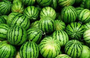 庆阳网红吃瓜群微信,揭秘网络社交圈的趣味与争议