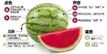 微信免费吃网红的瓜最新,揭秘微信免费吃瓜背后的秘密