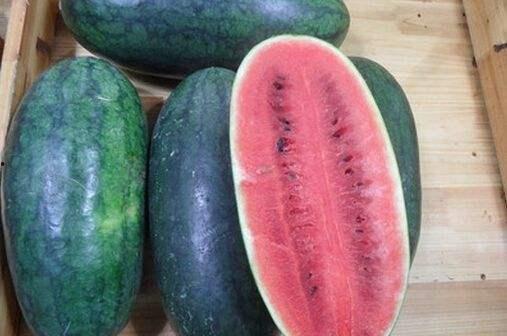 4.15黑料吃瓜网入口,独家入口带你一探究竟