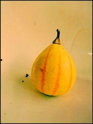 新沂吃瓜网,揭秘本地热点事件，畅享轻松娱乐时光