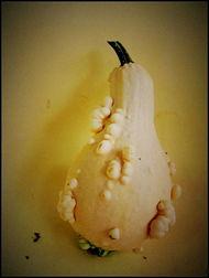 新沂吃瓜网,揭秘本地热点事件，畅享轻松娱乐时光