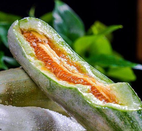 网红大瓜免费吃,免费畅享独家爆料！