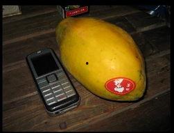 台湾网红吃瓜事件