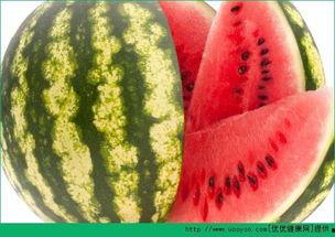 每日吃瓜网,揭秘娱乐圈最新热点，带你畅游八卦海洋