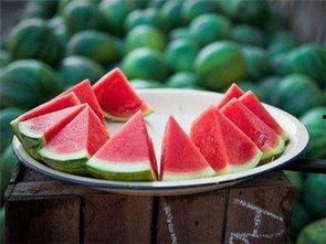 每日吃瓜网,揭秘娱乐圈最新热点，带你畅游八卦海洋