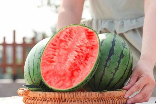 登进吃瓜网会怎么样,揭秘网络热点背后的真相与趣味