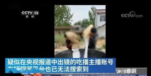 徐州吃瓜网红事件视频播放,一场网络狂欢背后的真相