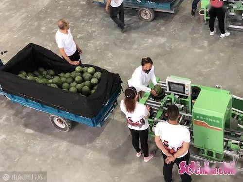 带你吃瓜网购翻车现场,带你揭秘带你吃瓜的网购陷阱