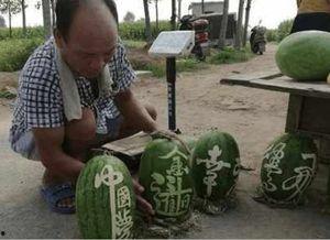 商洛网红吃瓜事件真相视频,真相视频曝光背后的真相