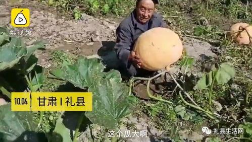 礼县吃瓜网红事件视频最新,揭秘背后真相与网络暴力