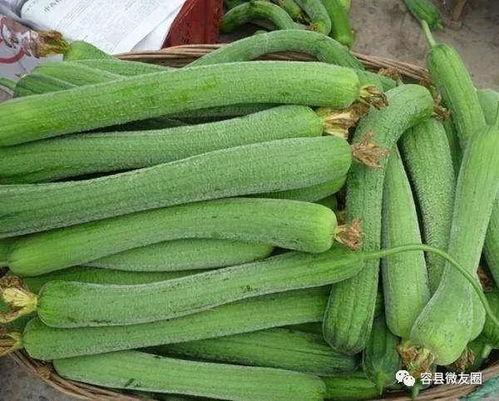 和吃瓜网一样的网站叫什么,揭秘背后故事与独特魅力