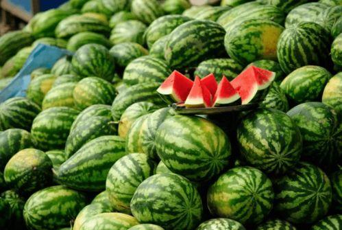 有瓜可以吃的网红