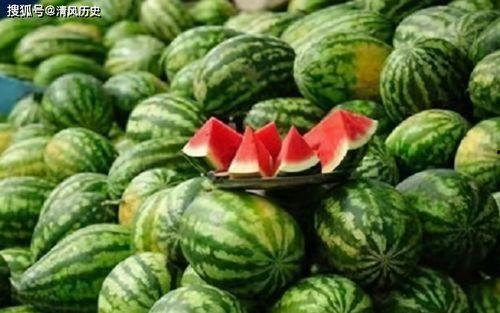 吃瓜网在线吃瓜免费观看网站,在线吃瓜新体验