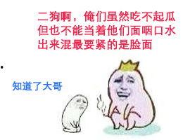 网红吃瓜狗子是谁啊表情包,萌态可掬，笑点满满