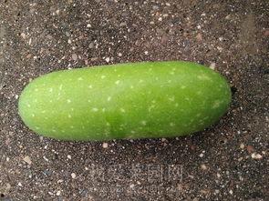 ccggme吃瓜网,揭秘娱乐圈幕后故事，带你领略明星真实生活