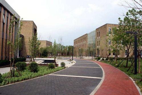 中央财经大学网课吃瓜