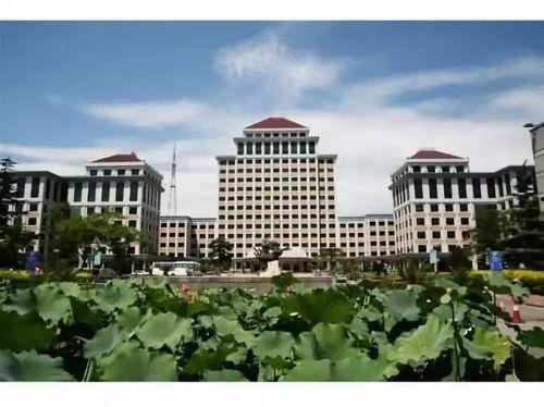 中央财经大学网课吃瓜