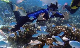 一线吃瓜海底见月网盘