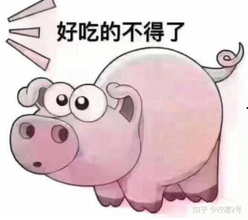 网红猪小七吃瓜视频在线观看,带你领略网红美食界的趣味瞬间