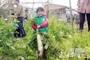 吃瓜网莆田家长群,揭秘吃瓜网背后的家长圈生态