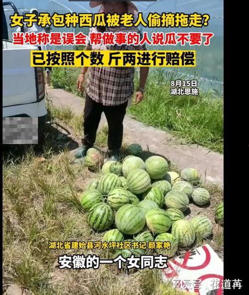 恩施网红吃瓜事件视频,一场网络狂欢背后的真相揭秘