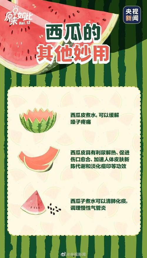 吃瓜网的服务内容