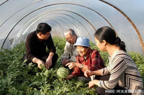 红领巾吃瓜网官网911