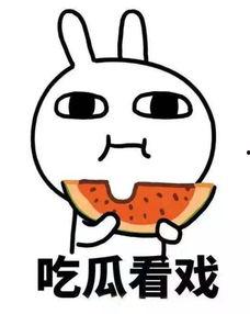 雅蠛蝶吃瓜网,揭秘娱乐圈幕后故事，带你领略明星真实生活