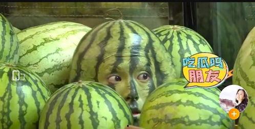 富富吃网红瓜