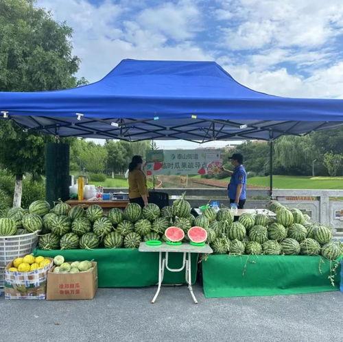 朝阳区群众吃瓜网,揭秘京城吃瓜群众的日常