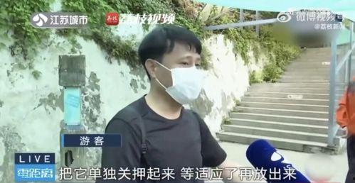 男闺蜜网红吃瓜,男闺蜜网红揭秘娱乐圈吃瓜大事件