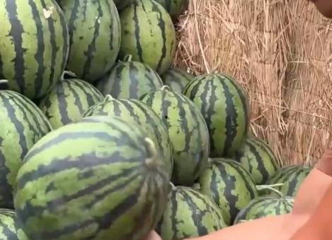 国网济南培训吃瓜,揭秘培训现场那些“吃瓜”瞬间