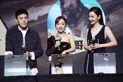 娱乐圈吃瓜合集百度网盘,揭秘百度网盘吃瓜合集背后的精彩瞬间