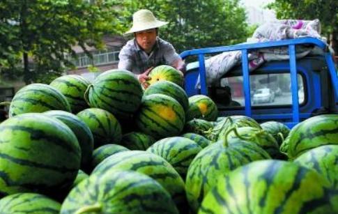 宜都网红吃瓜事件真相,揭秘背后真相与网络舆论的反思