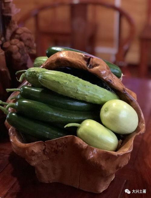 网红谭沁洁吃瓜