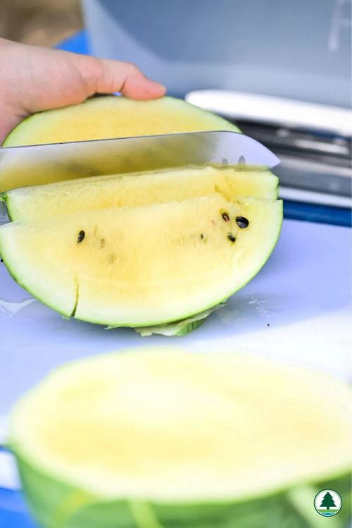 香港网红吃瓜视频大全,趣味横生，笑料百出