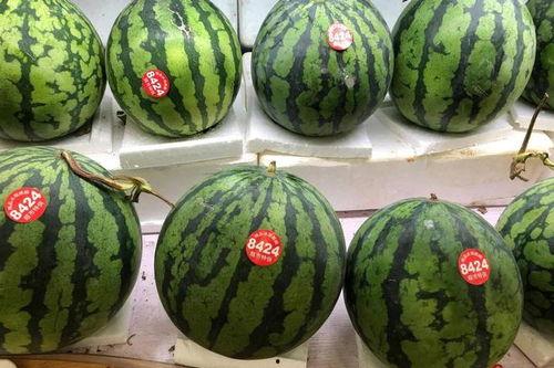 51款吃瓜网,揭秘娱乐圈幕后故事，带你领略明星真实生活